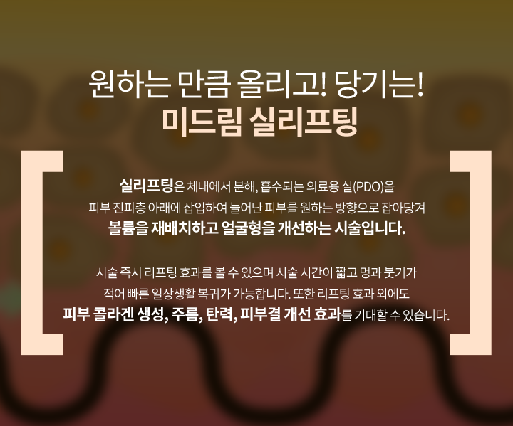 미드림 실리프팅