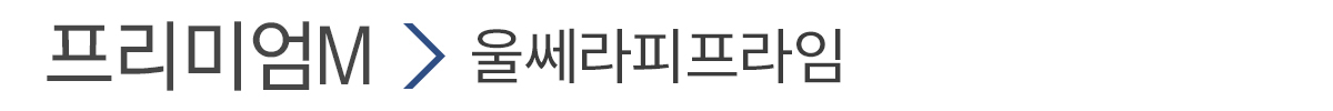 울쎄라피프라임